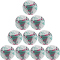 10er Ballpaket JAKO Glory Fußball Spielball 662 - weiß/rubine red/cool gray 5