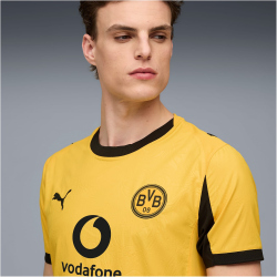 PUMA BVB Borussia Dortmund Authentic Cup Trikot 2025/26 Herren