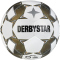 10er Ballpaket DERBYSTAR Brillant TT Fußball Trainingsball + DERBYSTAR Brillant APS Fußball + Ballsack