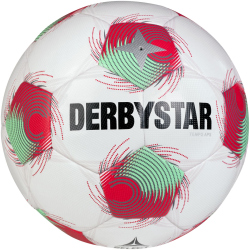 10er Ballpaket DERBYSTAR Tempo TT Fußball...