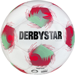 10er Ballpaket DERBYSTAR Tempo TT Fußball...