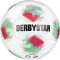 10er Ballpaket DERBYSTAR Tempo TT Fußball Trainingsball + DERBYSTAR Tempo APS Fußball Spielball + Ballsack