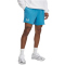 UNDER ARMOUR Rival Terry Freizeitshorts Herren