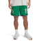 UNDER ARMOUR Courtside Hoops Basketballshorts Herren
