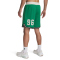 UNDER ARMOUR Courtside Hoops Basketballshorts Herren
