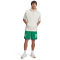 UNDER ARMOUR Courtside Hoops Basketballshorts Herren