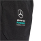 adidas Mercedes-AMG Petronas Formel 1 Team DNA Tragetasche Herren KF1779 - black