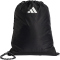 adidas Mercedes-AMG Petronas Formel 1 Team DNA Turnbeutel KF1780 - black