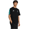 adidas Mercedes - AMG Petronas Formel 1 Team DNA T-Shirt Herren