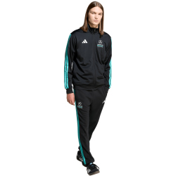 adidas Mercedes - AMG Petronas Formel 1 Team DNA Hose Herren