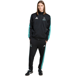 adidas Mercedes - AMG Petronas Formel 1 Team DNA Hose Herren