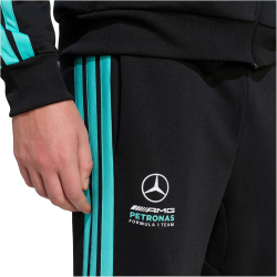adidas Mercedes - AMG Petronas Formel 1 Team DNA Hose Herren