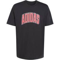 adidas Stadium Collegiate Graphic T-Shirt Herren