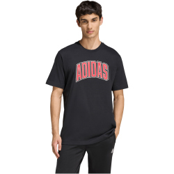 adidas Stadium Collegiate Graphic T-Shirt Herren