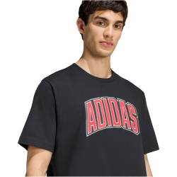 adidas Stadium Collegiate Graphic T-Shirt Herren