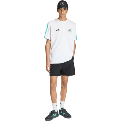 adidas Mercedes - AMG Petronas Formel 1 Team Night Webshorts Herren