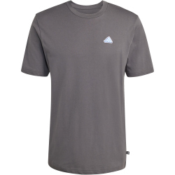 adidas Color Icon Graphic T-Shirt Herren