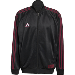 adidas Mercedes - AMG Petronas Formel 1 Team Las Vegas Trainingsjacke Herren