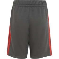 adidas Audi Formel 1 Team DNA Shorts Kinder