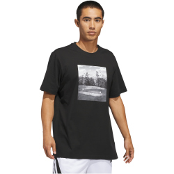 adidas Hoop Sanctuary Graphic T-Shirt Herren