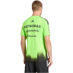 adidas Mercedes-AMG Petronas Formel 1 Setup T-Shirt Herren