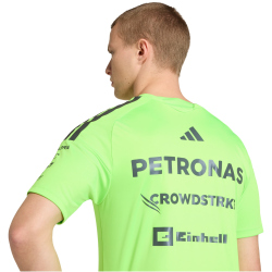adidas Mercedes-AMG Petronas Formel 1 Setup T-Shirt Herren
