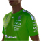 adidas Mercedes-AMG Petronas Formel 1 Setup T-Shirt Herren