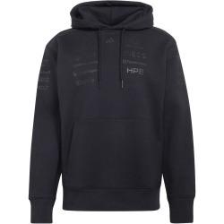 adidas Mercedes - AMG Petronas Formel 1 Team Night Fahrer Hoodie Herren