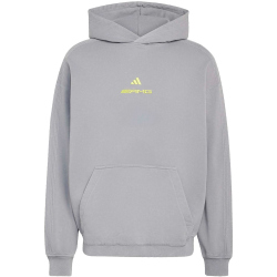 adidas AMG Washed Hoodie Herren