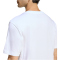 adidas Outdoor Kayaking Graphic T-Shirt Herren KB2539 - white S