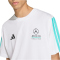 adidas Mercedes - AMG Petronas Formel 1 Team DNA T-Shirt Herren KE8162 - white/semi mint rush M