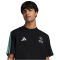 adidas Mercedes - AMG Petronas Formel 1 Team DNA T-Shirt Herren KE8161 - black/semi mint rush M
