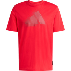 adidas Modern Essentials Graphic T-Shirt Herren JZ4993 - pure ruby M