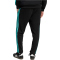 adidas Mercedes - AMG Petronas Formel 1 Team DNA Hose Herren KE5913 - black/semi mint rush M