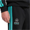 adidas Mercedes - AMG Petronas Formel 1 Team DNA Hose Herren KE5913 - black/semi mint rush M