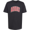 adidas Stadium Collegiate Graphic T-Shirt Herren KB4929 - black M
