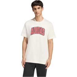 adidas Stadium Collegiate Graphic T-Shirt Herren KB4928 - off white XS