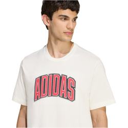 adidas Stadium Collegiate Graphic T-Shirt Herren KB4928 - off white XS
