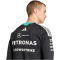 adidas Mercedes-AMG Petronas Formel 1 Team Authentic Fahrer langarm Trikot Herren KE5309 - black S