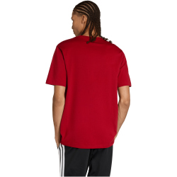 adidas Color Icon Graphic Trainingsshirt Herren KT4444 - active maroon S