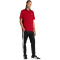 adidas Color Icon Graphic Trainingsshirt Herren KT4444 - active maroon S