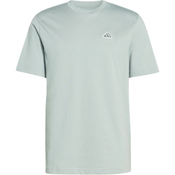 adidas Color Icon Graphic Trainingsshirt Herren KT4442 - wonder sage S