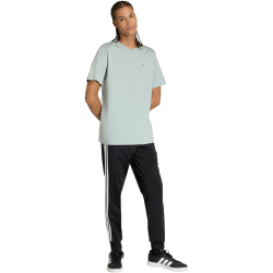 adidas Color Icon Graphic Trainingsshirt Herren KT4442 - wonder sage S