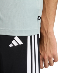 adidas Color Icon Graphic Trainingsshirt Herren KT4442 - wonder sage S