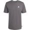 adidas Color Icon Graphic T-Shirt Herren JZ5008 - grey five XS
