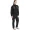 adidas Mercedes - AMG Petronas Formel 1 Team Mechaniker 1/4-Zip Sweatshirt Damen KE5540 - black XS