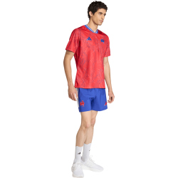adidas FFR Frankreich Rugby Aufwärmshirt Herren...