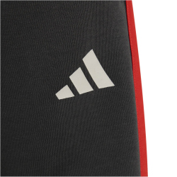 adidas Audi Formel 1 Team DNA Shorts Kinder KE6779 -...