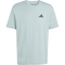 adidas Outdoor Mountain Biking Graphic T-Shirt Herren KG5411 - wonder sage XS