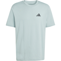 adidas Outdoor Mountain Biking Graphic T-Shirt Herren KG5411 - wonder sage XXL